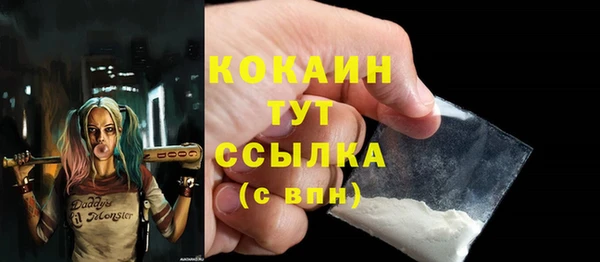 стафф Россошь