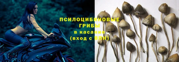 тгк Рославль